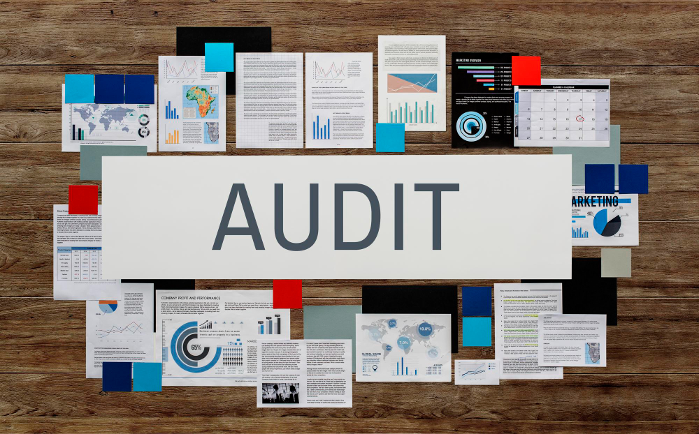 CRA Focusing Audits