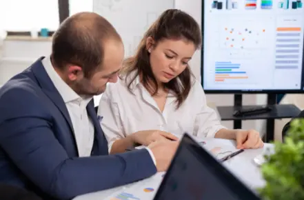 Audit Defense Interface